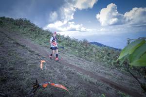 BIB: 
                            <button type="button" onclick="openModal(15955189)" class="btn btn-primary btn-sm float-right btn-popup" data-toggle="modal" data-target=".modal-high-quality">
                        <i class="fas fa-shopping-cart"></i> Add to Cart
                    </button>
                                            <button type="button" onclick="isThisMe(15955189, true)" class="btn btn-success btn-sm float-right btn-popup btn-isme hidden" data-toggle="tooltip" data-placement="bottom" title="นี่คือรูปของคุณใช่ไหม คลิกที่นี่เพื่อเอาเข้าอัลบั้ม">
                        <i class="fas fa-plus"></i> Add to album
                    </button>
                    <button type="button" onclick="isThisMe(15955189, false)" class="btn btn-warning btn-sm float-right btn-popup btn-isnotme hidden">
                        <i class="fas fa-ban"></i> Remove from album
                    </button>